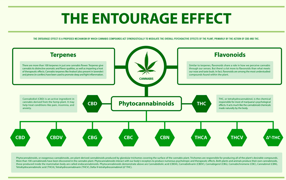 Researchers Present Benefits of Entourage Effect